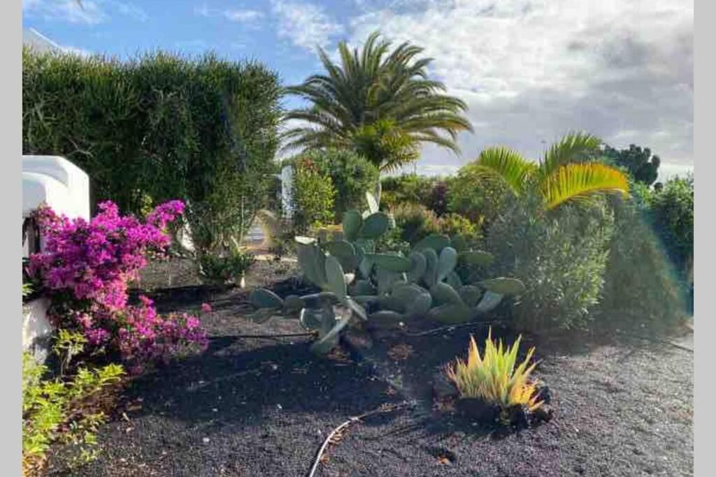 Villa Isa Sea Views Playa Blanca  Luaran gambar