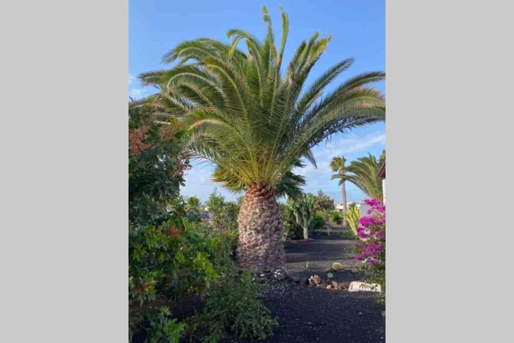 Villa Isa Sea Views Playa Blanca  Luaran gambar